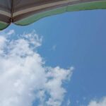 空を見上げてる感じの写真