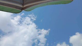 空を見上げてる感じの写真